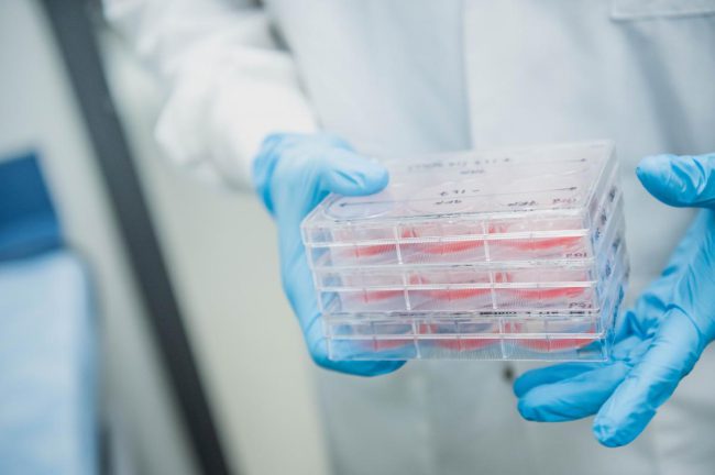 UBC_2019-08-20_PJ_9614